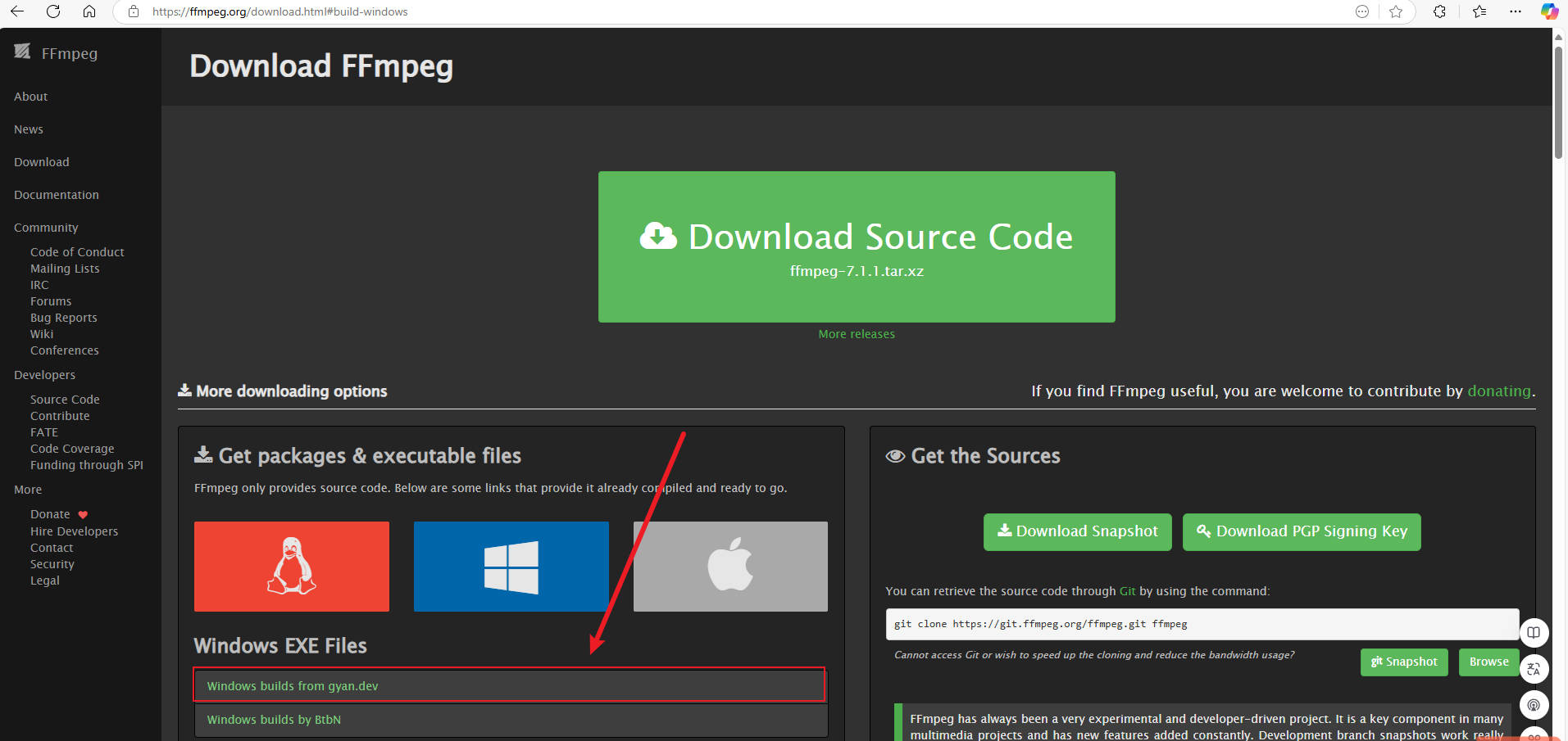 选择windows builds from gyan.dev
